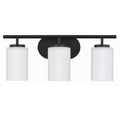 3 Light 20" Wide Bathroom Vanity Light - Black